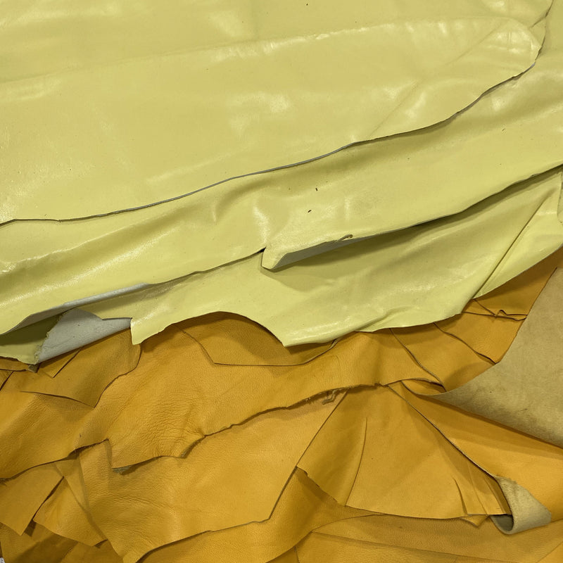 Designer Leather Skins - Small-assorted - SPECIAL BUY