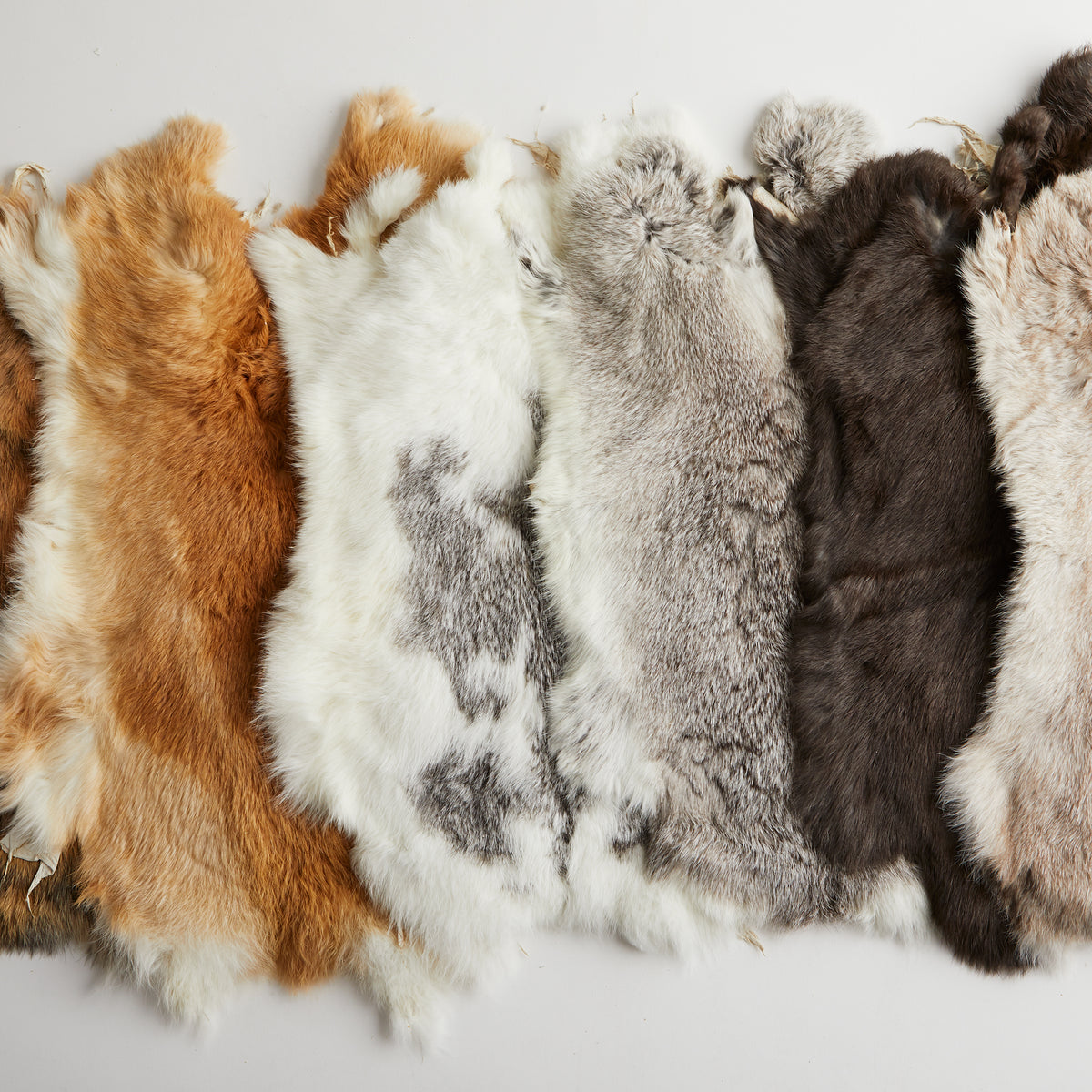 Rabbit skin coat store