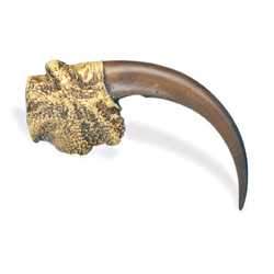 Griffe d'aigle en résine coulée