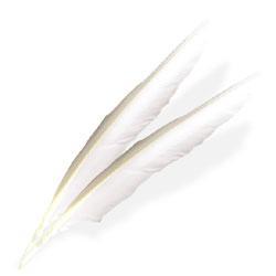 Wing Feathers White 6 pack